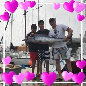 Meet your Posher, Patty